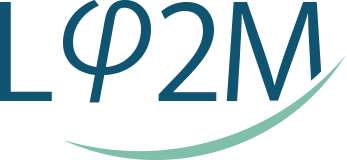 Logo LP2M 